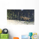 Ceratosaurus Hunting Prehistoric Environment Wall Decal Design 3