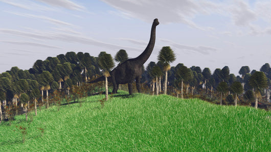 Large Brachiosaurus Open Field Wall Decal Design 2