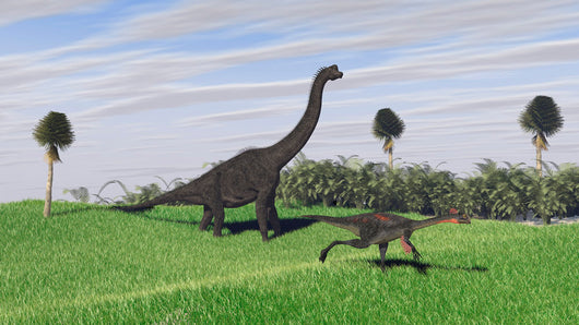 Large Brachiosaurus and Gigantoraptor Wall Decal