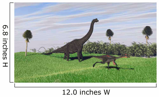 Large Brachiosaurus and Gigantoraptor Wall Decal