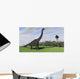 Large Brachiosaurus Open Field Wall Decal Design 1
