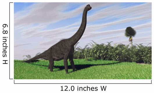 Large Brachiosaurus Open Field Wall Decal Design 1