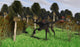 Gigantoraptor Running through Woodlands Wall Decal