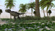 Tyrannosaurus Rex Hunting for Wall Decal Design 8