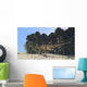 Ceratosaurus Running across Prehistoric Wall Decal Design 2