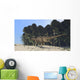 Ceratosaurus Running across Prehistoric Wall Decal Design 2