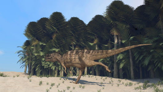 Ceratosaurus Running across Prehistoric Wall Decal Design 2