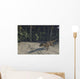 Ceratosaurus Running across Prehistoric Wall Decal Design 1