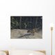 Ceratosaurus Running across Prehistoric Wall Decal Design 1