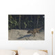 Ceratosaurus Running across Prehistoric Wall Decal Design 1