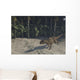 Ceratosaurus Running across Prehistoric Wall Decal Design 1