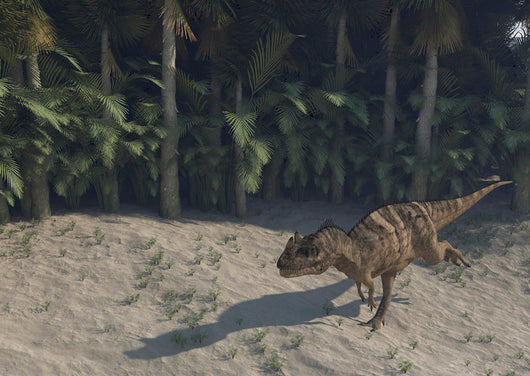 Ceratosaurus Running across Prehistoric Wall Decal Design 1
