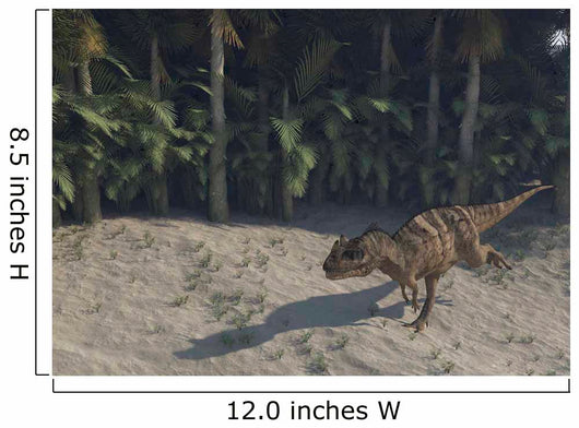 Ceratosaurus Running across Prehistoric Wall Decal Design 1
