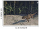 Ceratosaurus Running across Prehistoric Wall Decal Design 1