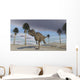 Ceratosaurus Running across Barren Wall Decal Design 3