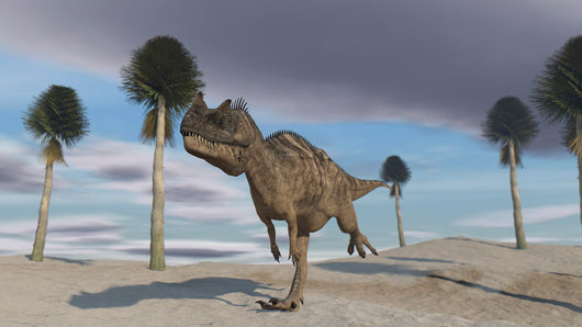 Ceratosaurus Running across Barren Wall Decal Design 3