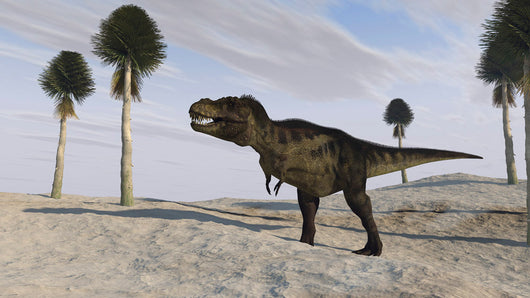 Tyrannosaurus Rex Hunting for Wall Decal Design 6