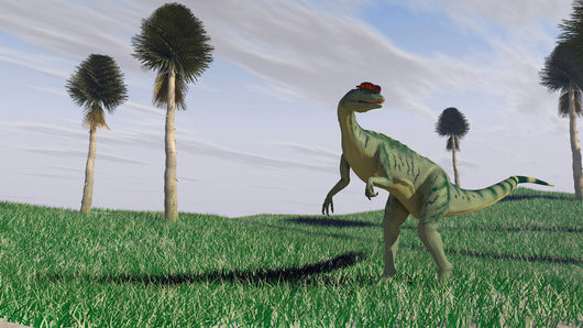 Dilophosaurus Hunting for Its Wall Decal Design 2