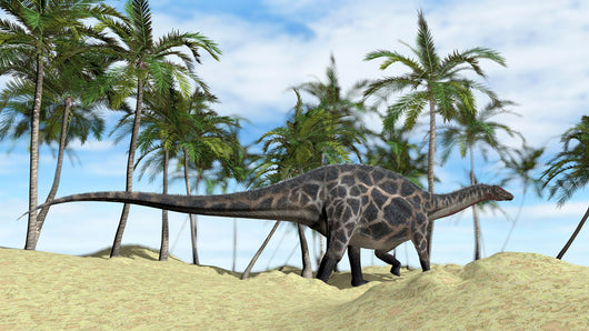 Dicraeosaurus Walking across Prehistoric Wall Decal Design 3