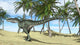 Monolophosaurus Prehistoric Environment with Wall Decal