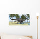 Dicraeosaurus Shallow Water Wall Decal Design 1
