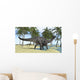 Dicraeosaurus Shallow Water Wall Decal Design 1