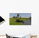 Cotylorhynchus Shore Wall Decal