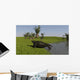 Cotylorhynchus Shore Wall Decal