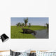 Cotylorhynchus Shore Wall Decal