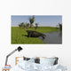 Cotylorhynchus Shore Wall Decal