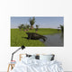Cotylorhynchus Shore Wall Decal