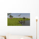 Peteinosaurus Reptiles Shore Prehistoric Wall Decal
