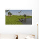 Peteinosaurus Reptiles Shore Prehistoric Wall Decal