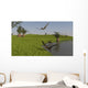 Peteinosaurus Reptiles Shore Prehistoric Wall Decal