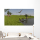 Peteinosaurus Reptiles Shore Prehistoric Wall Decal