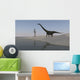 Mamenchisaurus Walking along Shoreline Wall Decal