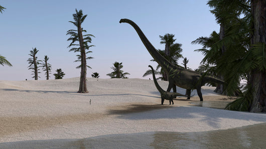 Mamenchisaurus and Her Offspring Wall Decal Design 3
