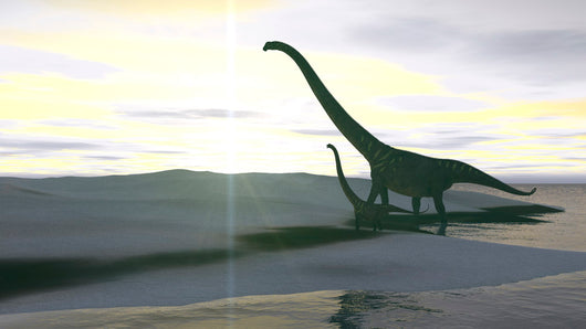 Mamenchisaurus and Her Offspring Wall Decal Design 2