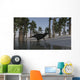 Shuangmiaosaurus Walking along Shoreline Wall Decal Design 2