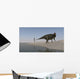 Shuangmiaosaurus Walking along Shoreline Wall Decal Design 1