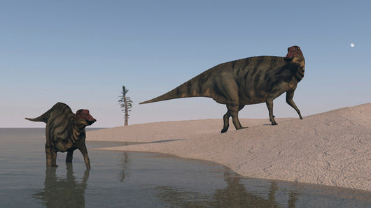 Two Shuangmiaosaurus Dinosaurs Shoreline Wall Decal