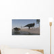 Udanoceratops and Shuangmiaosaurus Roaming Wall Decal