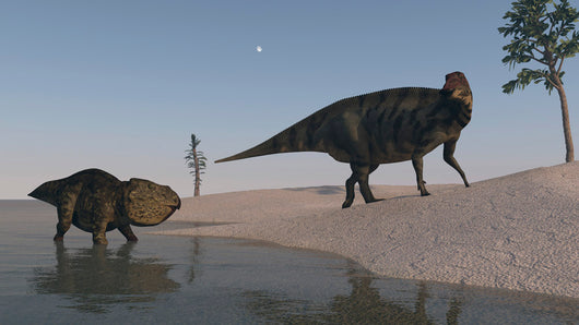 Udanoceratops and Shuangmiaosaurus Roaming Wall Decal