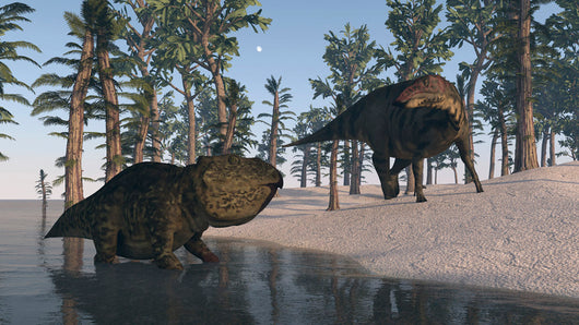 Udanoceratops and Shuangmiaosaurus among Wall Decal
