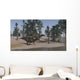 Two Shuangmiaosaurus Walking along Wall Decal