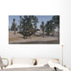 Two Shuangmiaosaurus Walking along Wall Decal