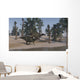 Two Shuangmiaosaurus Walking along Wall Decal