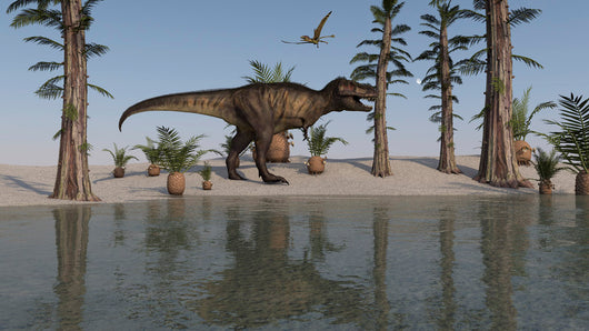 Tyrannosaurus Rex Hunting for Wall Decal Design 5
