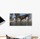 Tyrannosaurus Rex Hunting for Wall Decal Design 4