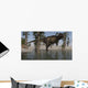 Tyrannosaurus Rex Hunting for Wall Decal Design 4